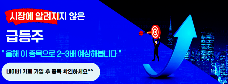 에스엔케이글로벌주 이미지