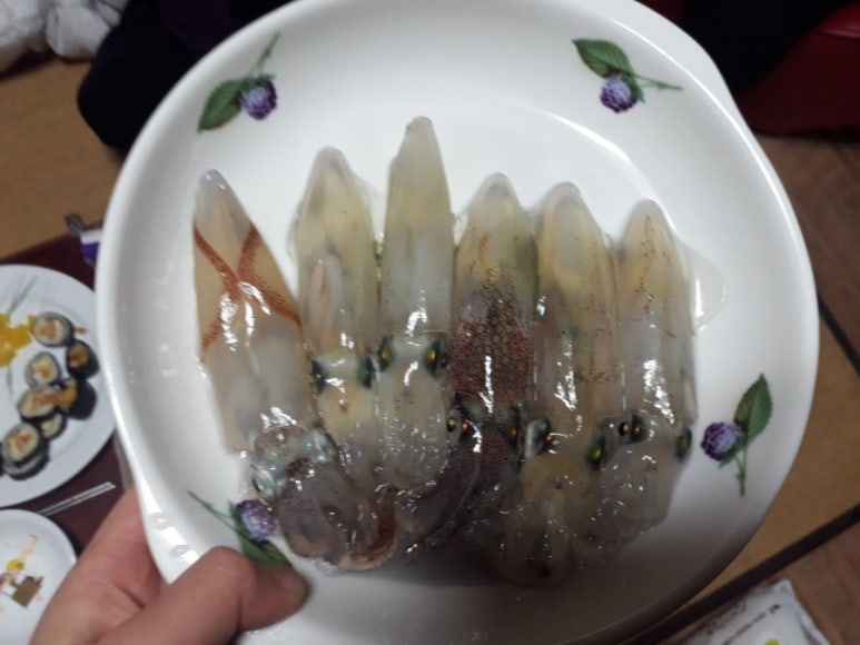니꼴 이미지