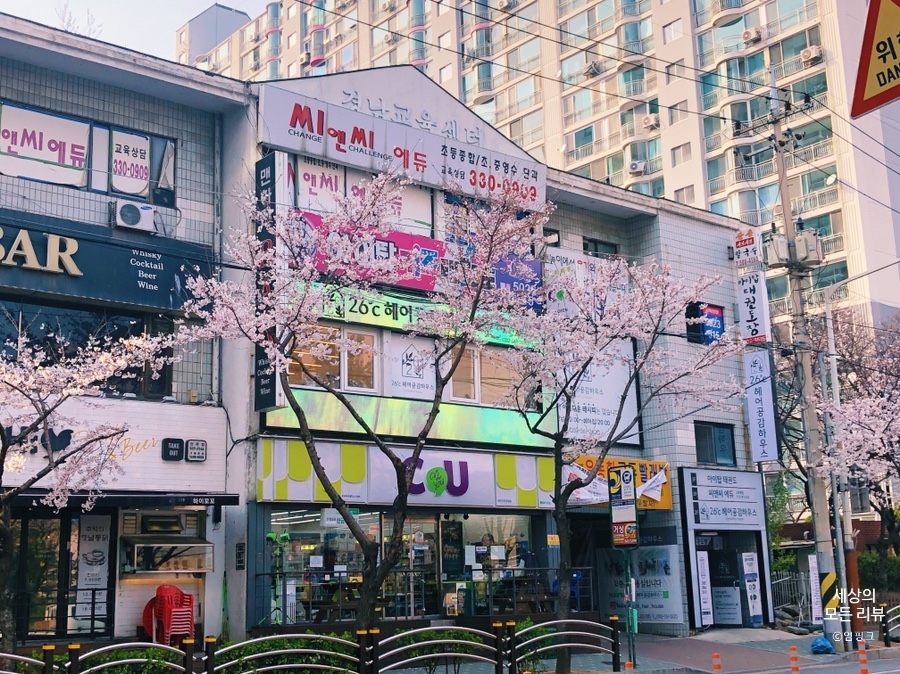 그레이헤어하우스 이미지