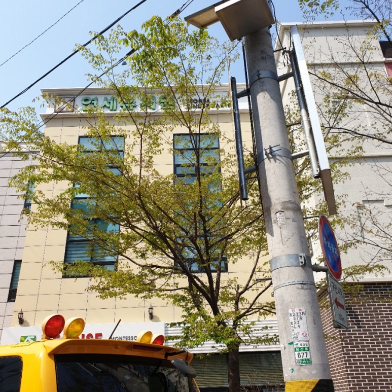 연세유치원 이미지