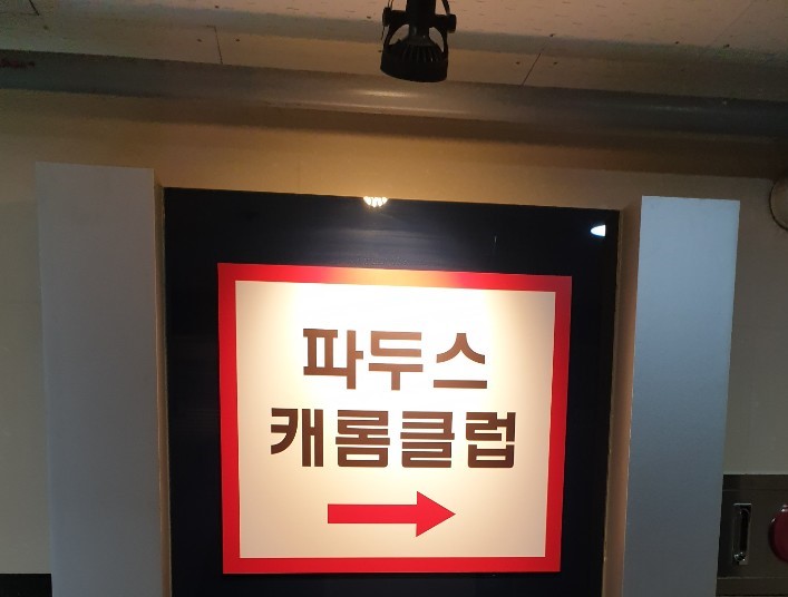 파두스캐롬클럽 이미지