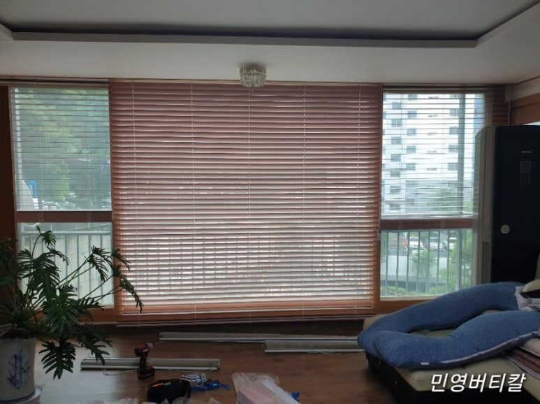 블라인드나무 이미지