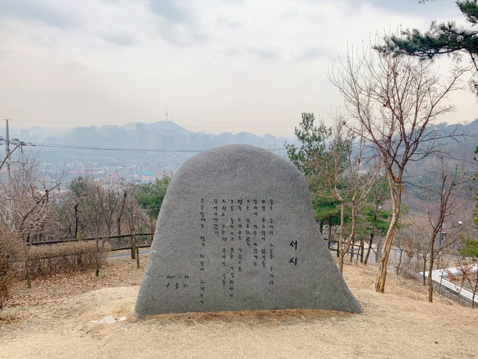 별빛언덕 이미지