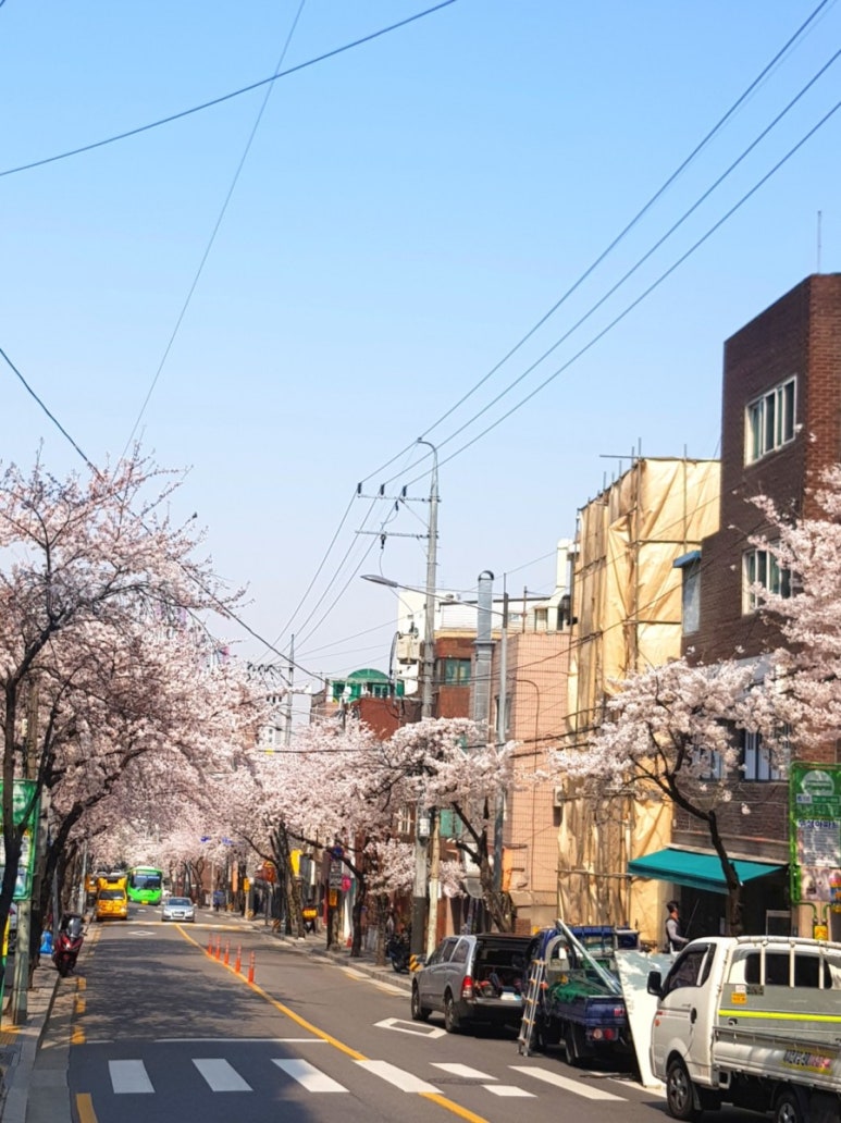블랑제리꾸끄 이미지