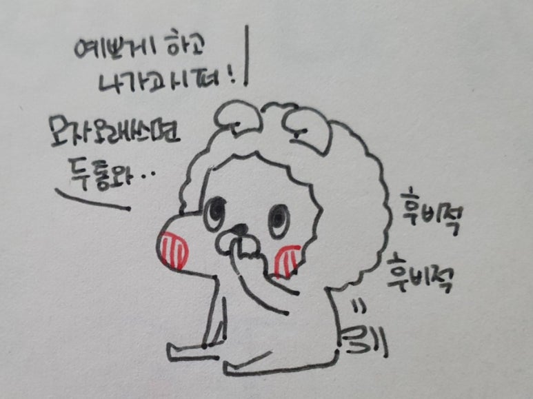 젠토리 이미지
