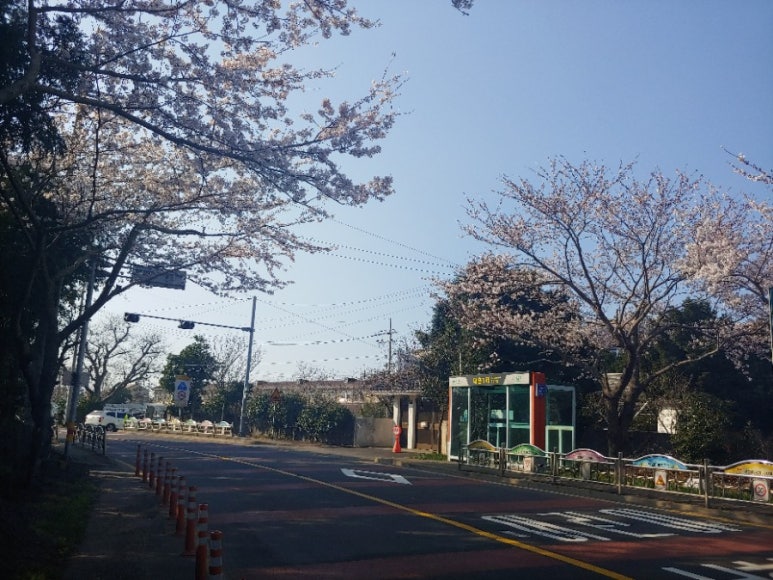 대흘민박 이미지