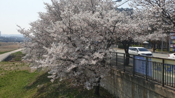 착한메밀 이미지