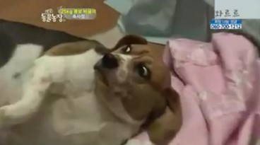 시골집명품석갈비 이미지