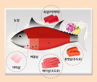 예가참치 이미지
