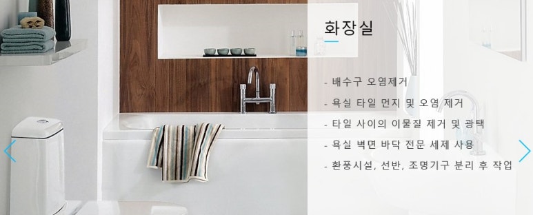 새집클로버 이미지