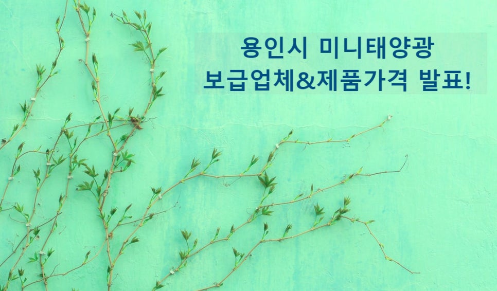 태현이엔지 이미지