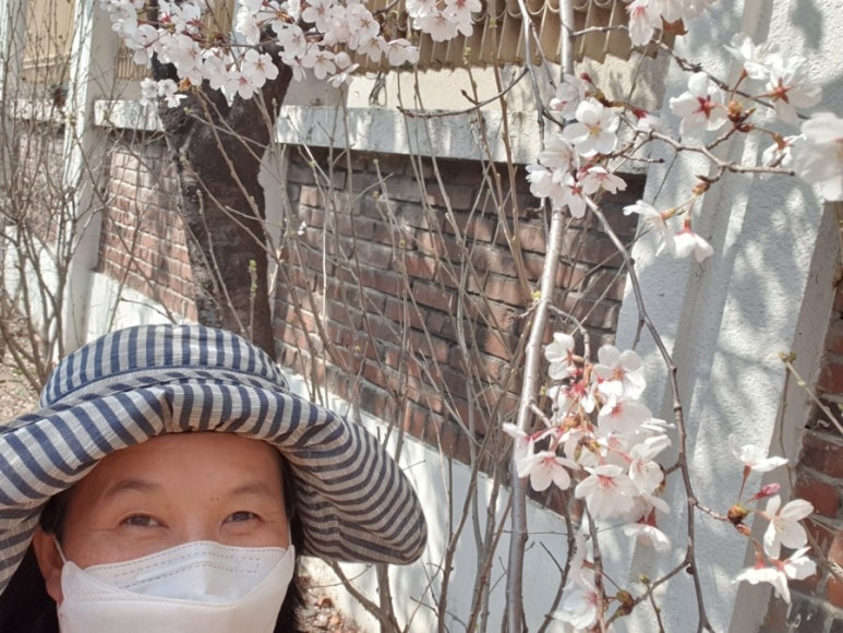 연자락 이미지