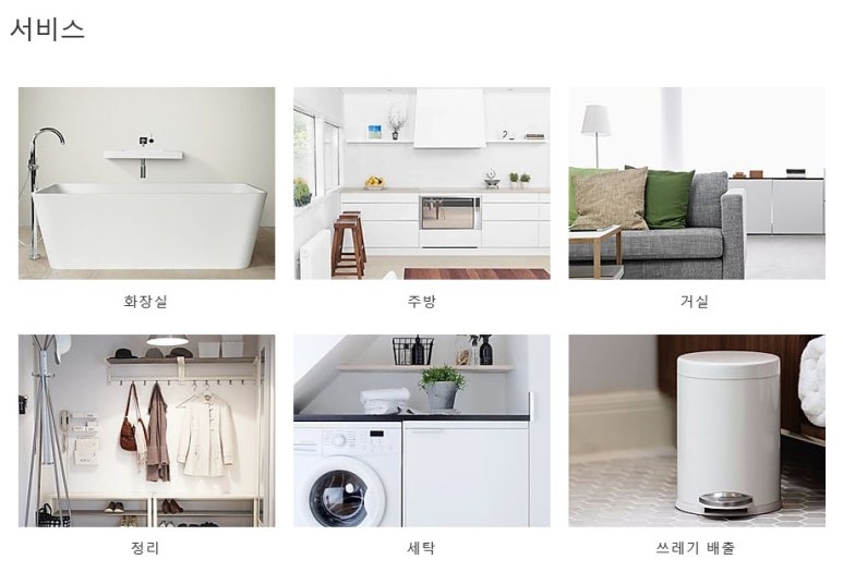 새집클로버 이미지
