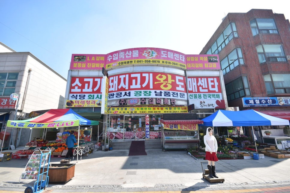 왕도매정육점 이미지