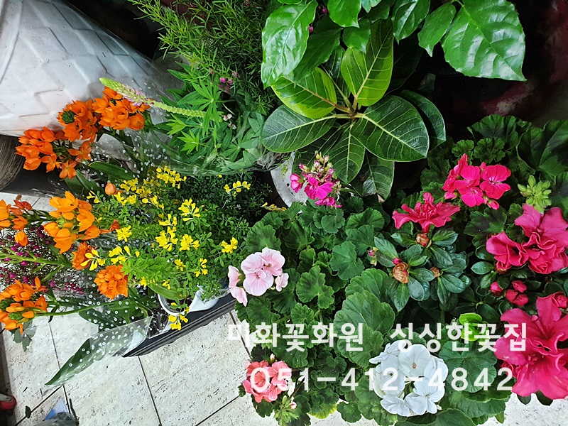 미화화원 이미지