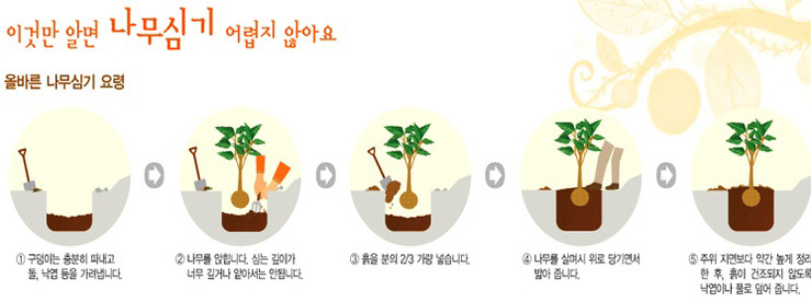 꿈비아이 이미지