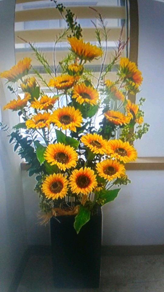 웰빙꽃화원 이미지