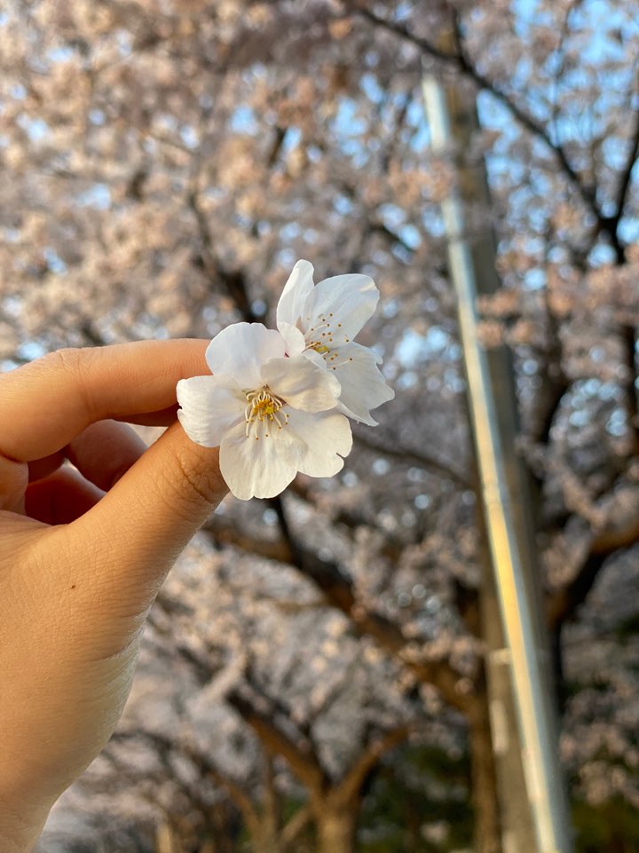 진주제일중학교 이미지