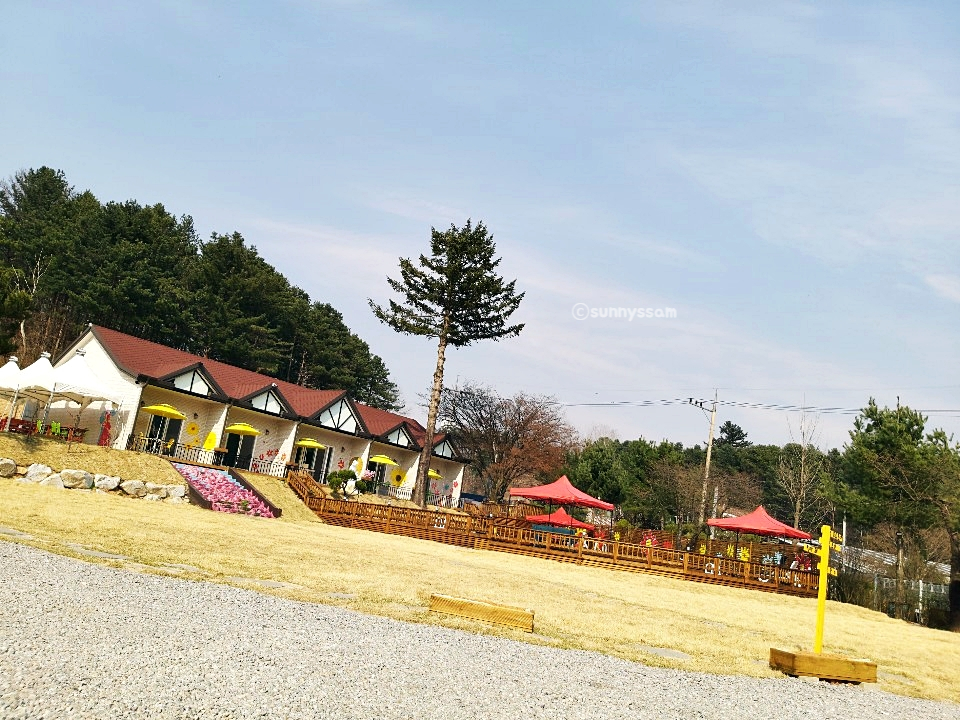 라일락카페라일락리조트 이미지