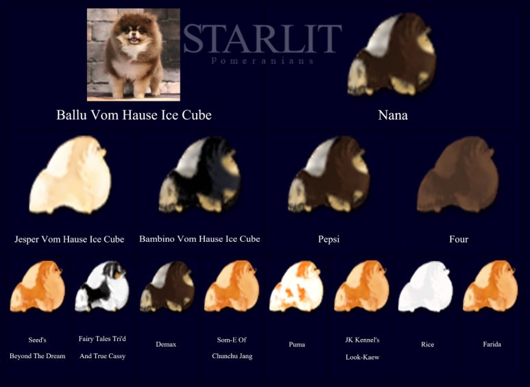 스타릿(starlit) 이미지