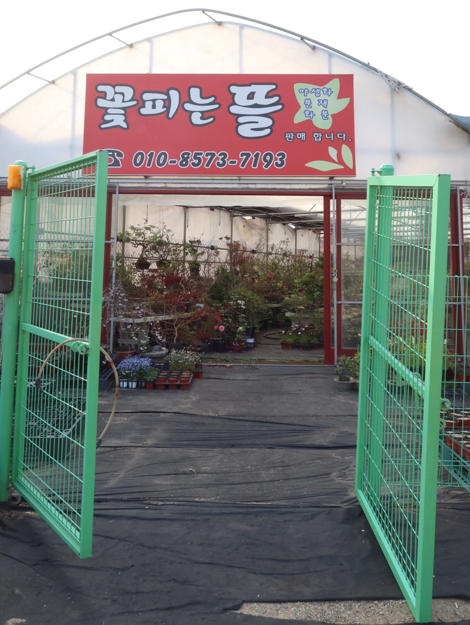 꽃피는뜰 이미지