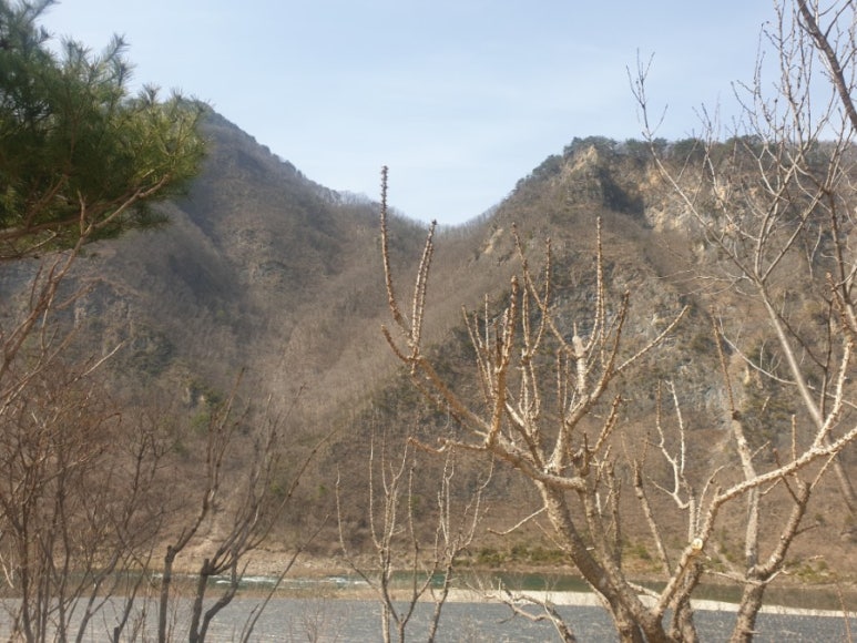 거북이민박 이미지