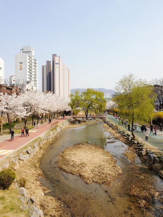 안녕;성내천 이미지
