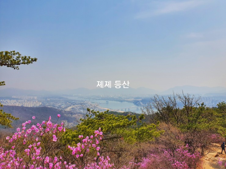 아차산옹심이메밀칼국수 이미지
