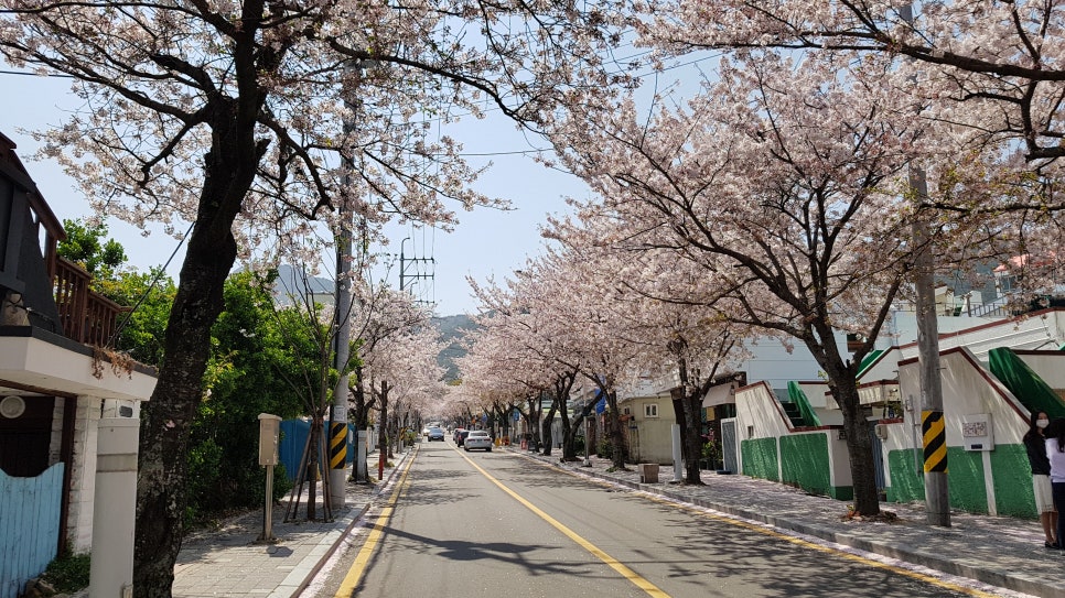 꽃비나리 이미지