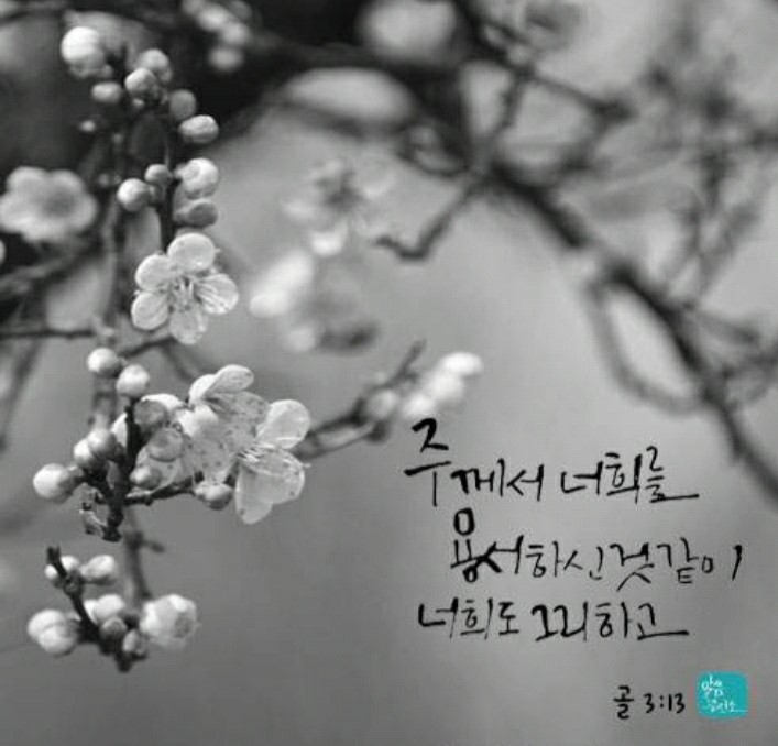 원기플레너 이미지