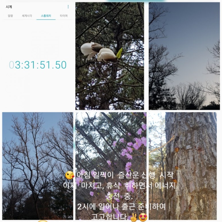 한입해 이미지