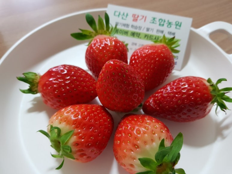 다산딸기수출 이미지