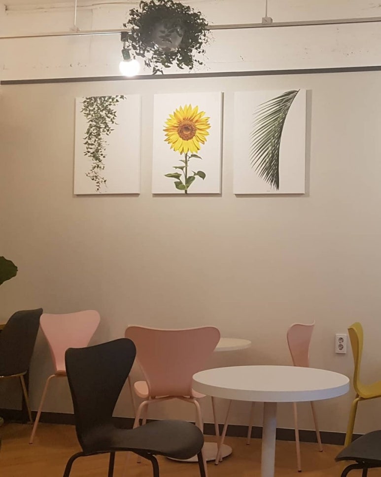 달빛시루 이미지