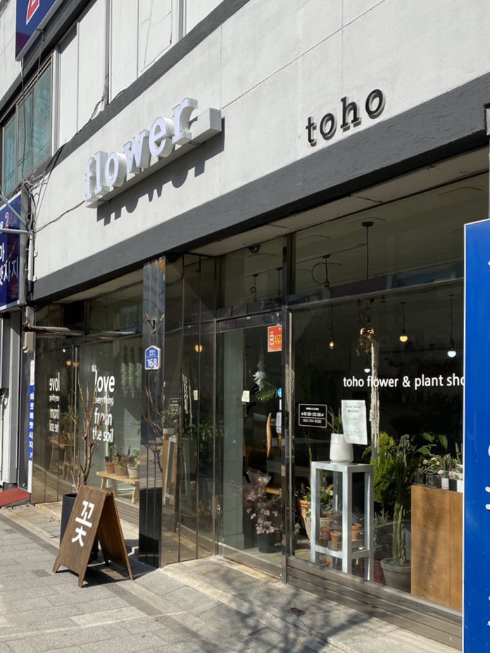 토호플라워 이미지