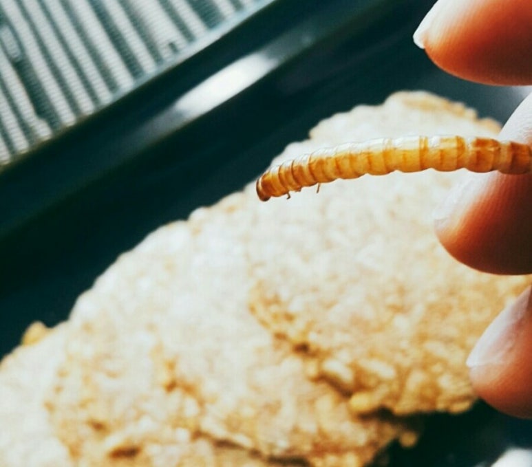 모드니애슈퍼푸드 이미지