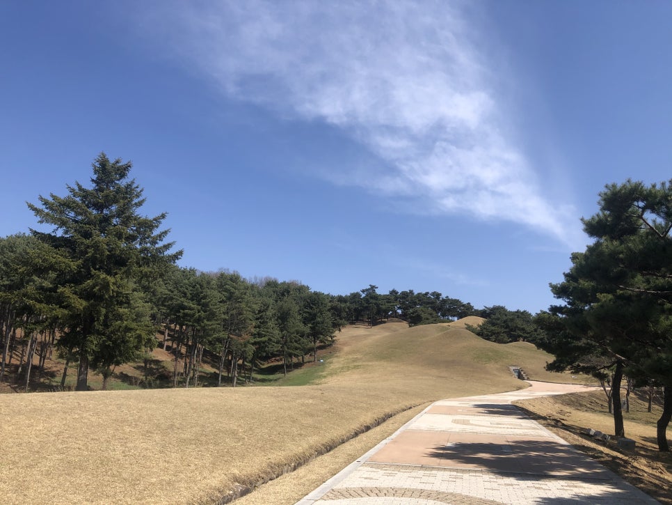 소소아 이미지