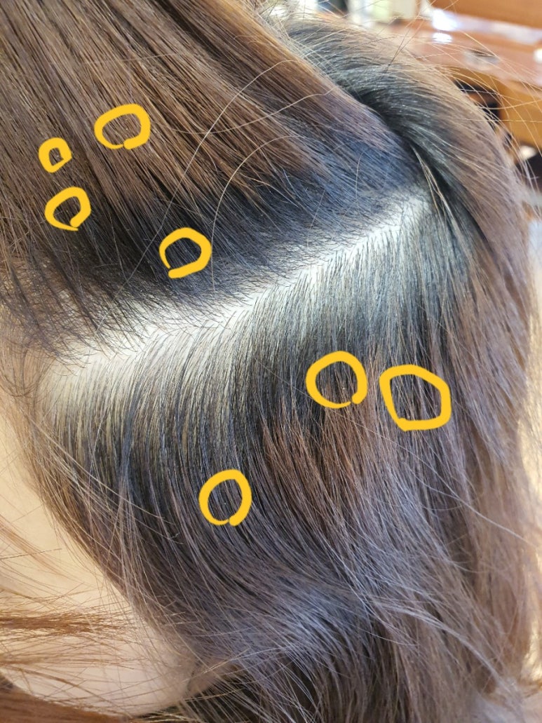 헤어메리엘 이미지