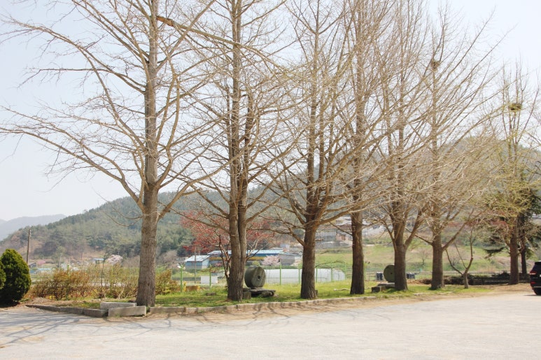 소라초등학교소라남분교장 이미지