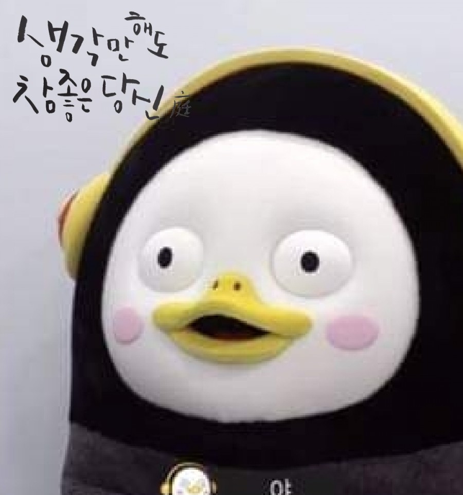 한국캘리그라피교육개발원 이미지