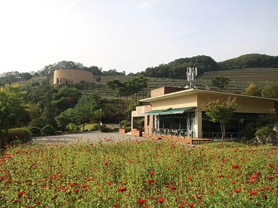 동행장례토탈서비스 이미지