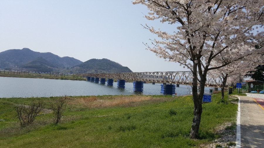 생림국수 이미지