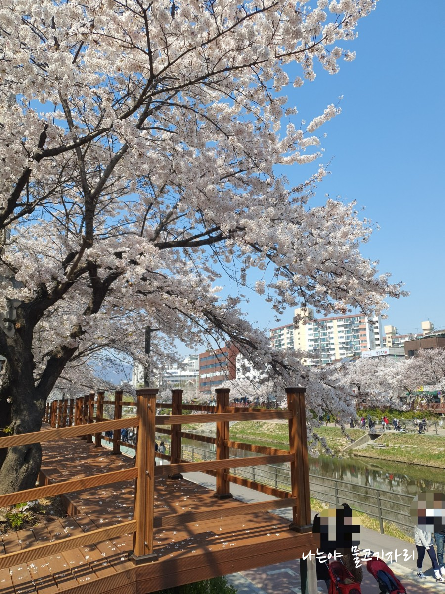 4.19그집 이미지