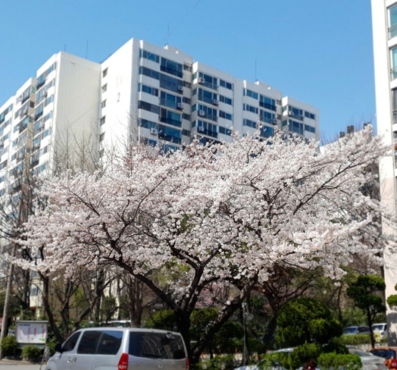 동암신전떡볶이 이미지