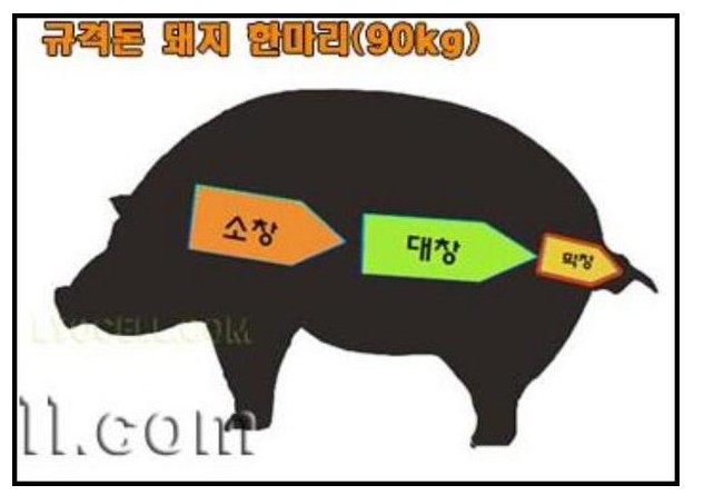 4900원돼지 이미지