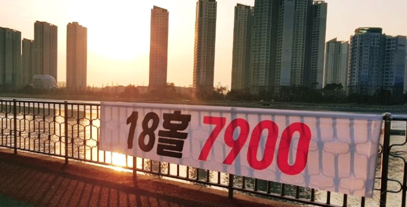 퍼플릭스 이미지