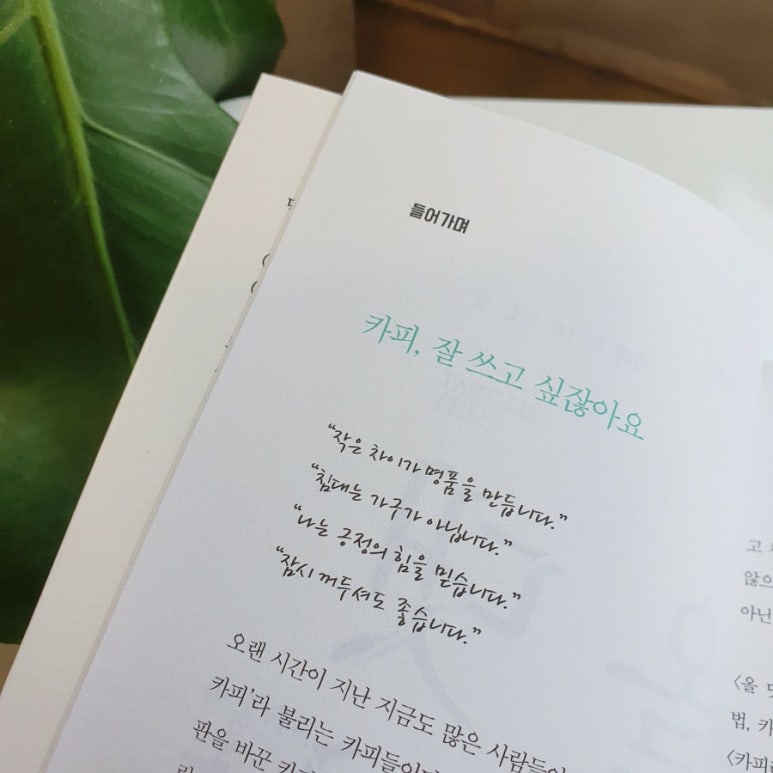 카피댓 이미지