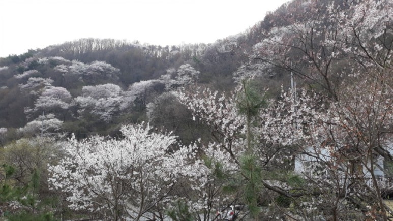 사계펜션 이미지