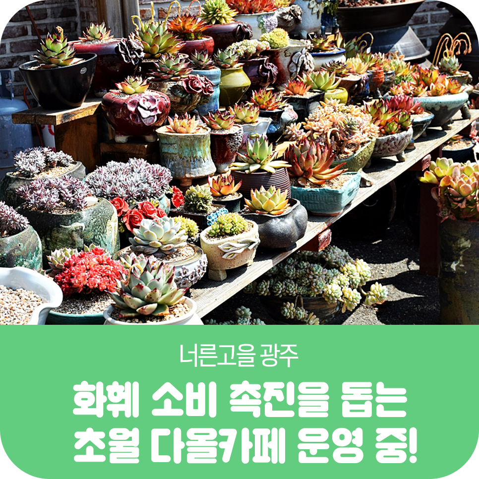 다올장터 이미지