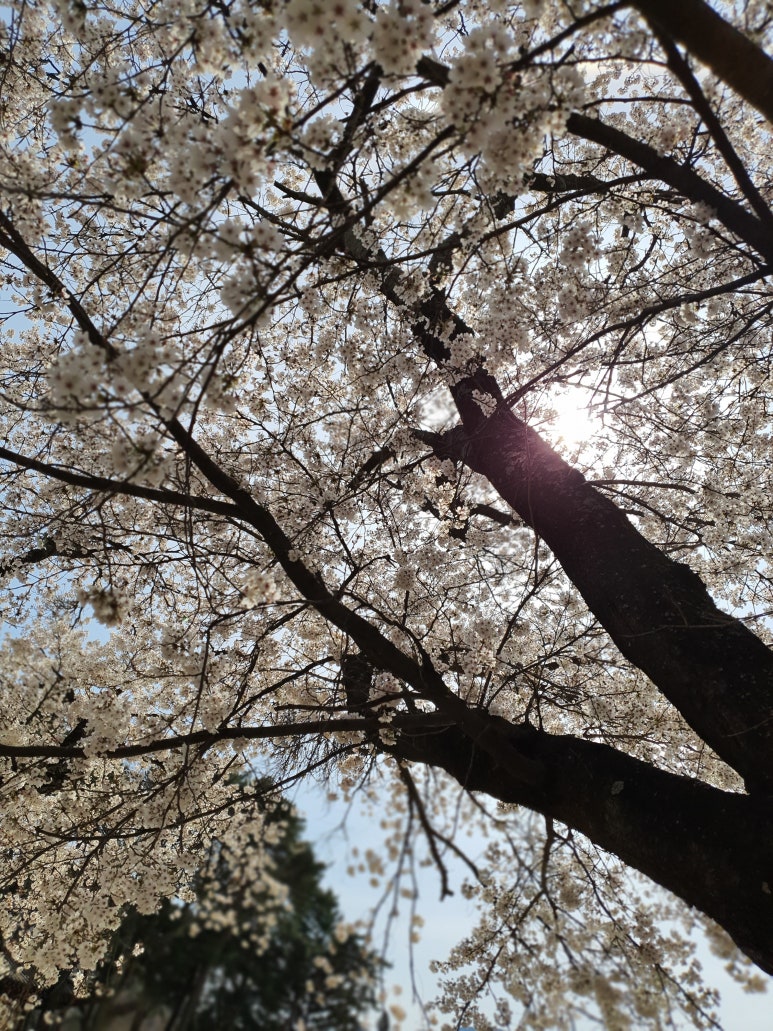 농업회사법인지리산장터목(주) 이미지
