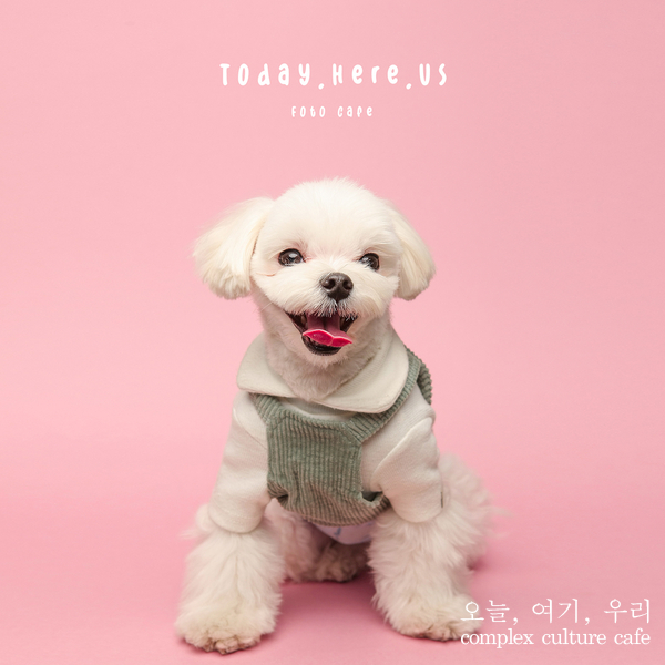 오늘여기우리 이미지